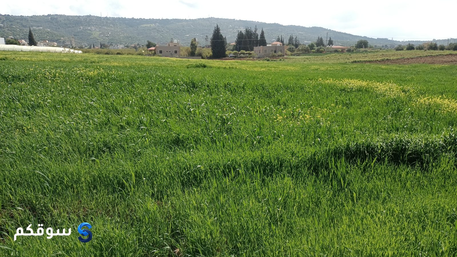 أرض زراعية وسكنية متميزة - 9