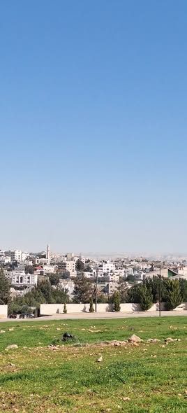 فرصة استثمارية: أراضٍ مميزة في شفا بدران - 3
