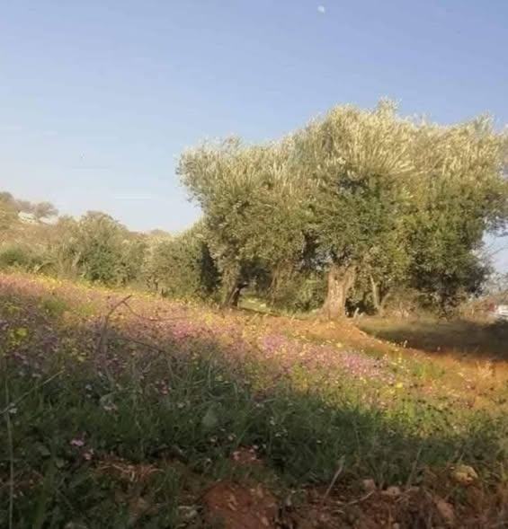 أرض للبيع في بيرين بسعر مغري
