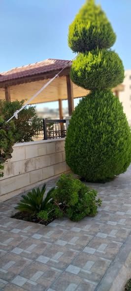 شقة 3 غرف 170م طابق أرضي للإيجار في الجبيهة - 4