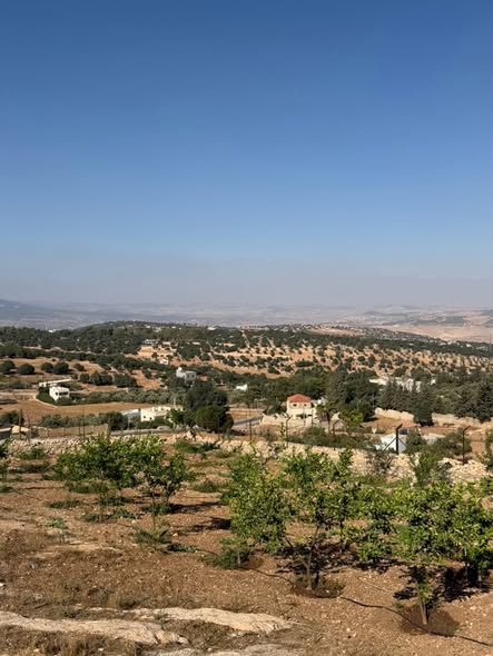 أرض مميزة للبيع في السلط - أم العمد - 2