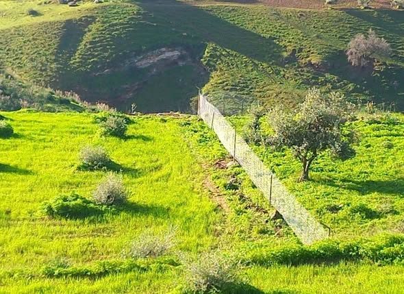 أرض 20 دونم غرب إربد كفر رحتا بإطلالة مميزة - 4