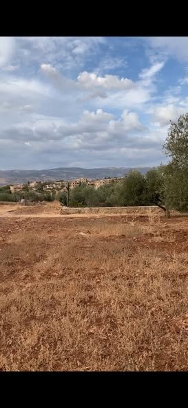 أرض مميزة للبيع في الصبيحي - 4