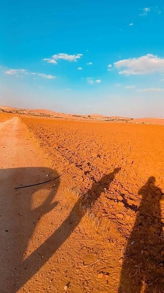 أرض مستوية مميزة للبيع في بلعما - 4