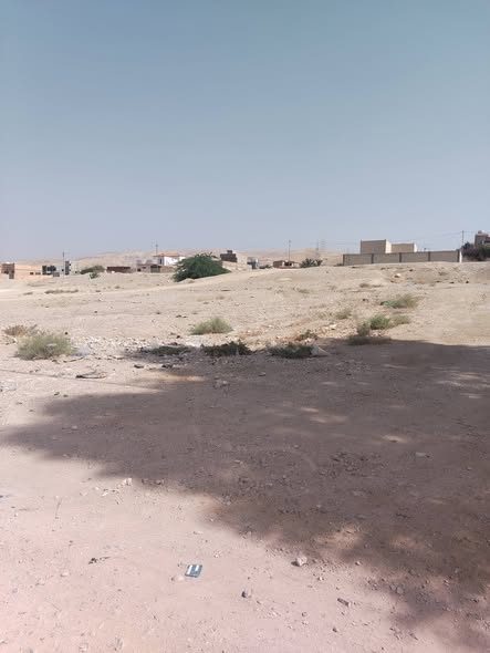 أرض مميزة بإطلالة ساحرة في الشونة الجنوبية - 2