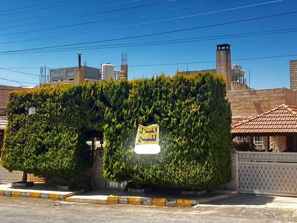 منزل فاخر للبيع في أبو علندا - تلاع النجار مساحة واسعة - 2
