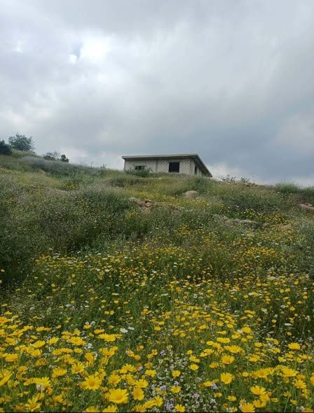 أرض 20 دونم غرب إربد كفر رحتا بإطلالة مميزة - 2