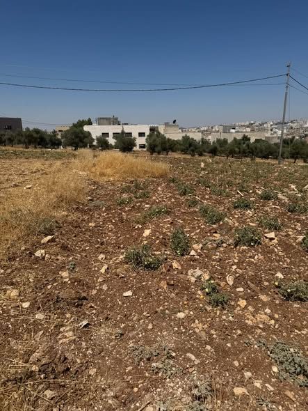 لقطة استثنائية أرض سكن ب على شارعين في أرقى مناطق الظهير