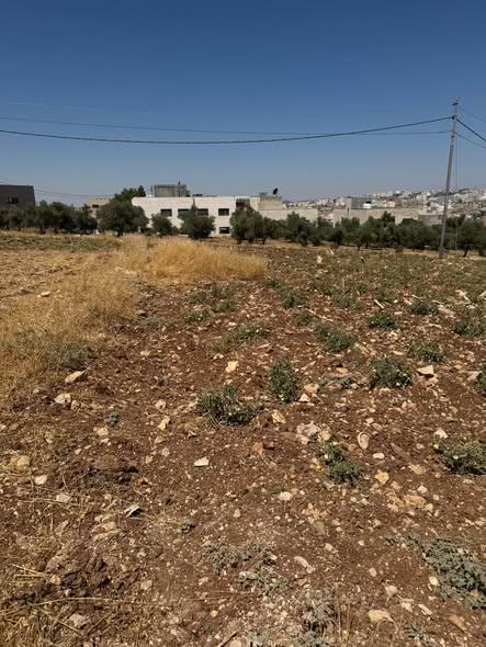 لقطة استثنائية أرض سكن ب على شارعين في أرقى مناطق الظهير