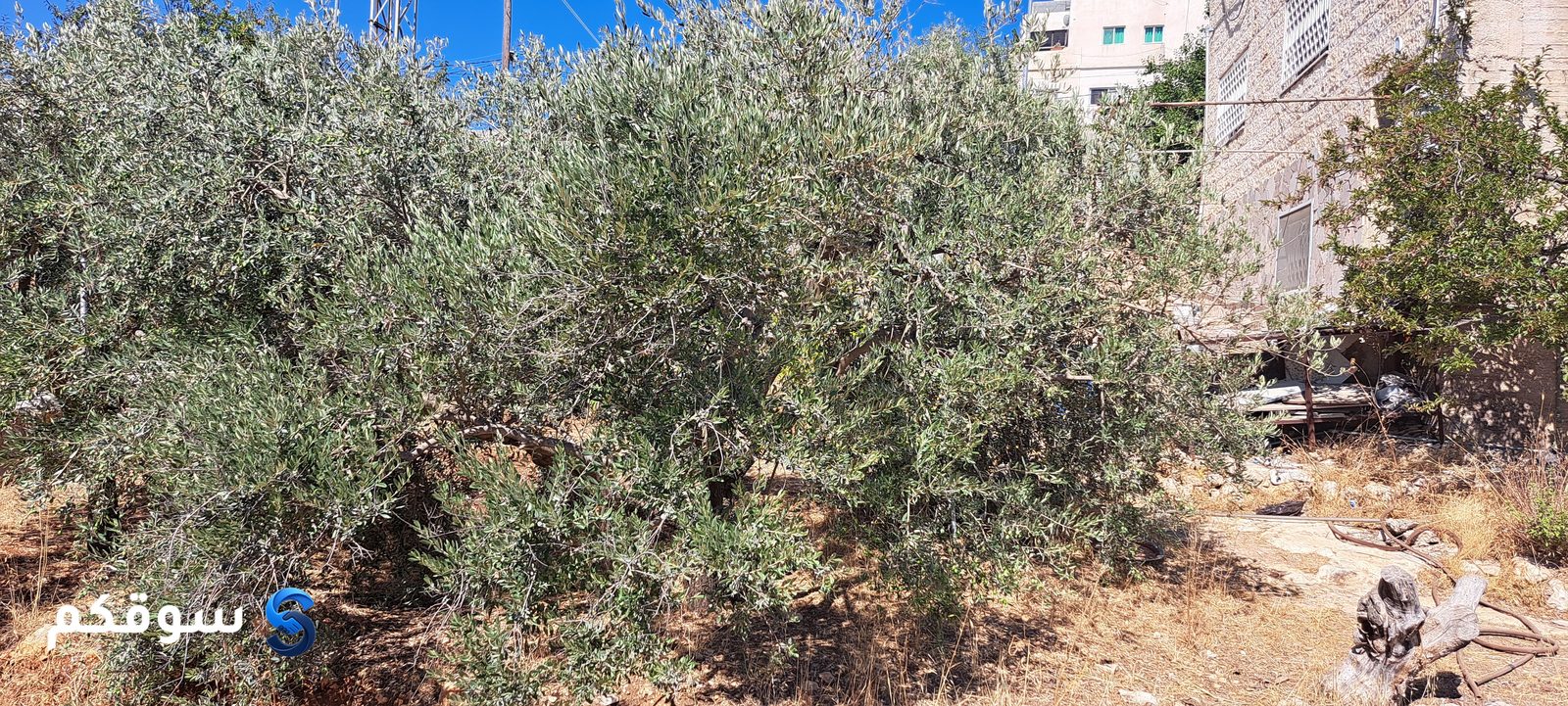 بيت مستقل 260م للبيع في السلط - من المالك مباشرة - 3