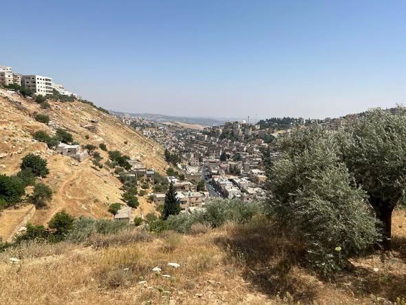أرض مميزة للبيع في السلط - الصوارفة بإطلالة رائعة