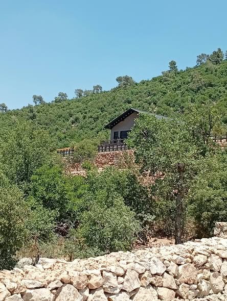 نمر حرجية بإطلالة جبلية ساحرة للاستثمار في عجلون - 5