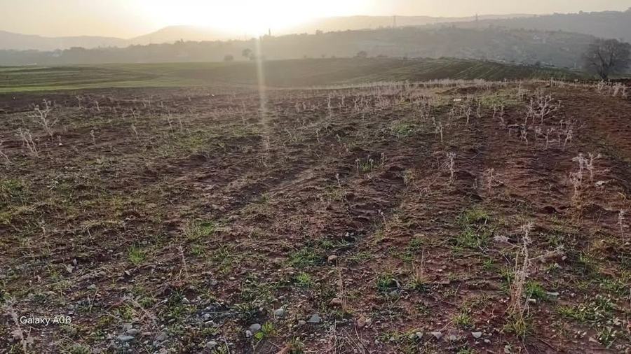 أرض للبيع في الصبيحي – السلط