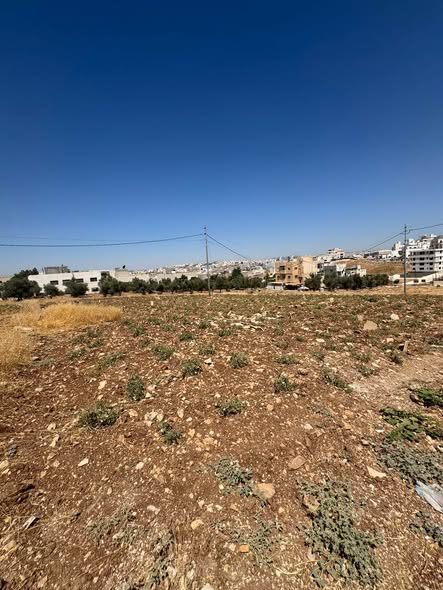لقطة استثنائية أرض سكن ب على شارعين في أرقى مناطق الظهير - 2