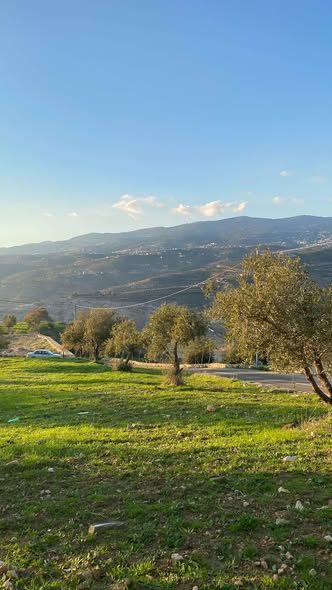 أرض للبيع بإطلالة على سد الملك طلال - 4