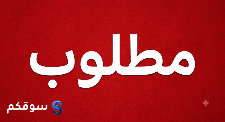 مطلوب شقة من المالك