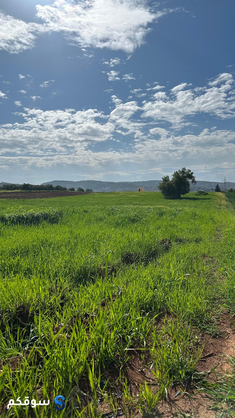 أرض زراعية وسكنية متميزة - 4