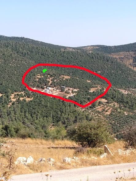 نمر حرجية بإطلالة جبلية ساحرة للاستثمار في عجلون