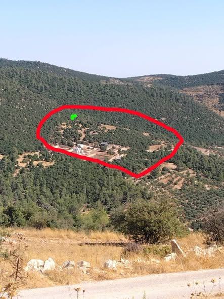 نمر حرجية بإطلالة جبلية ساحرة للاستثمار في عجلون
