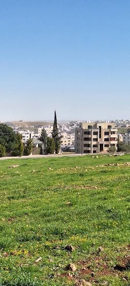 فرصة استثمارية: أراضٍ مميزة في شفا بدران - 2