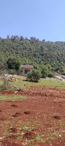 نمر حرجية بإطلالة جبلية ساحرة للاستثمار في عجلون - 3