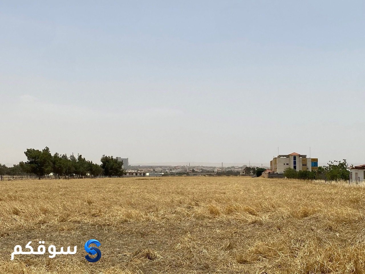 أرض للبيع مباشرة من المالك – الرمثا، إربد - 5