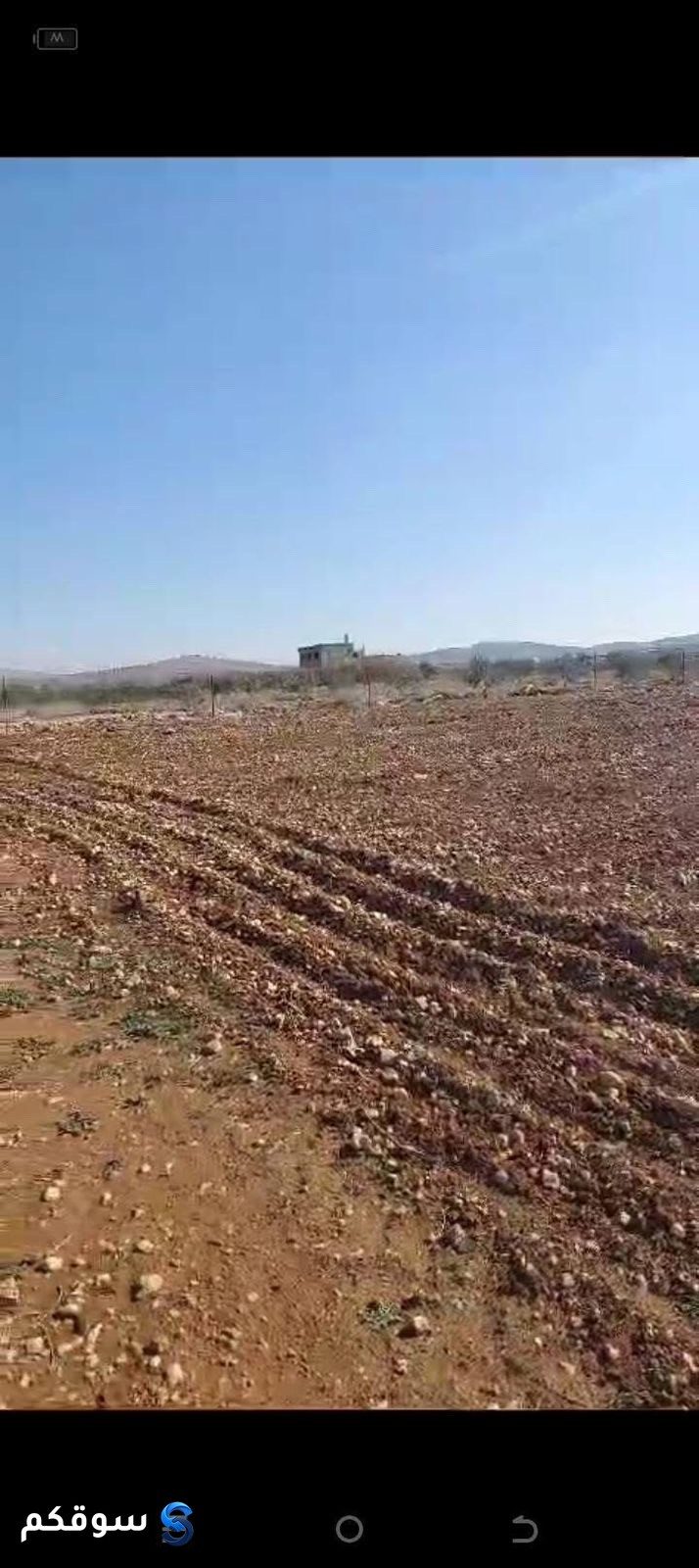 ارض زراعيه وشاليهات - 3