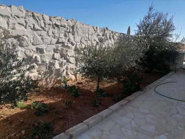 بيت مستقل للبيع في جاوا – فرصة ذهبية - 3