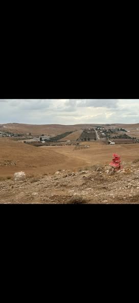 أرض سياحية مميزة في المعمرية - فرصة استثمارية - 3