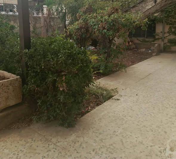 شقة فارغة للإيجار في منطقة الرابية مع حديقة